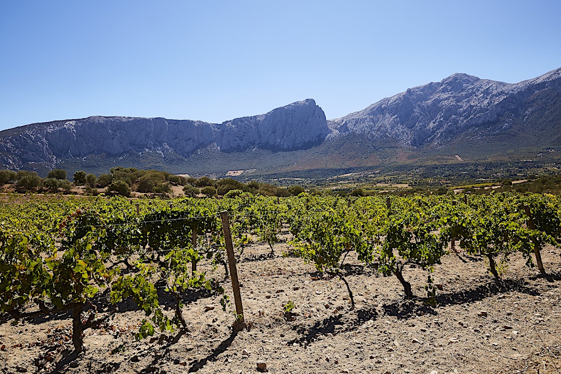 Sardinia, Italia, bilde 34 av 34