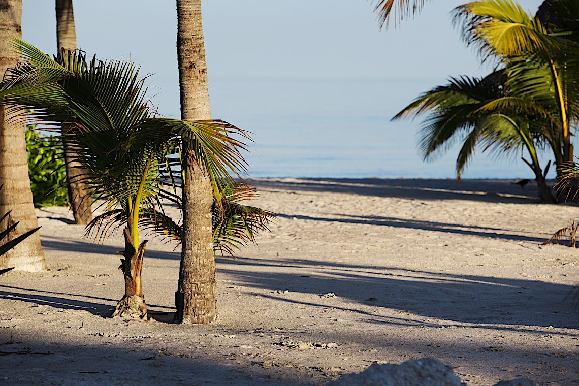 Isla de Holbox, Mexico, bilde 27 av 28