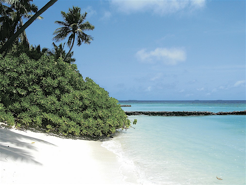 North Male Atoll, Maldivene, bilde 4 av 13
