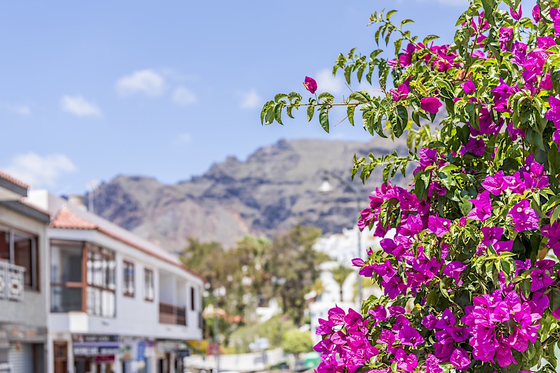 Los Gigantes, Teneriffa, Espanja, kuva 10/ 13
