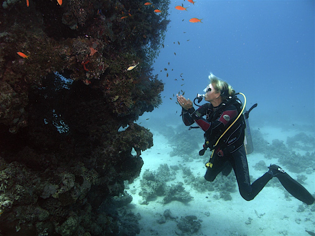 Hurghada-kysten, Egypten, billede 14 af 23