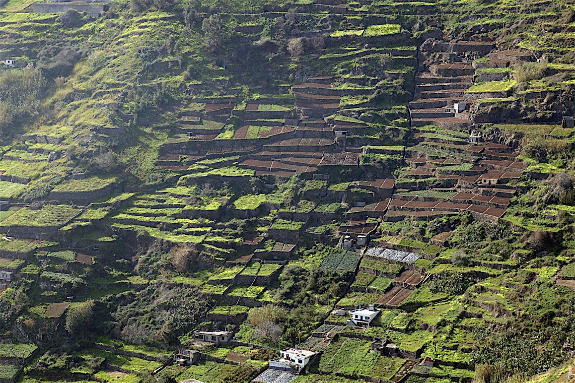 Madeira, Portugal, bilde 19 av 21