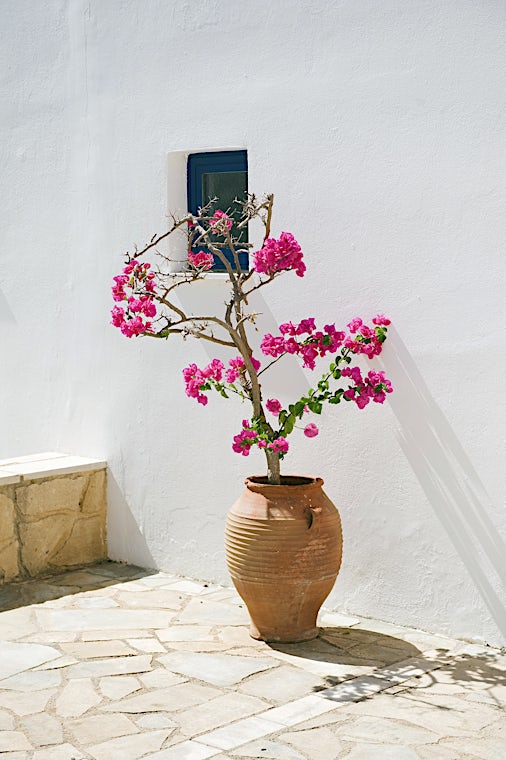 Agia Marina, Kreeta, Kreikka, kuva 7/ 16