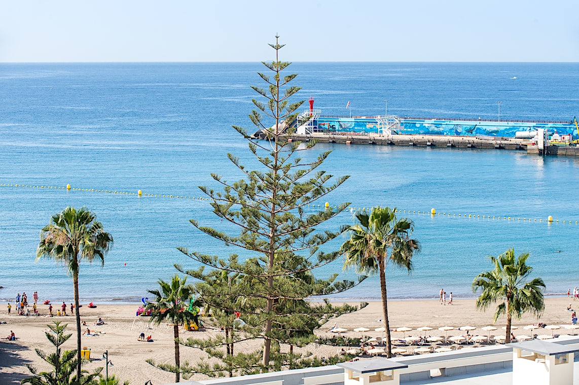 Los Cristianos, Tenerife, Spanien, billede 3 af 23