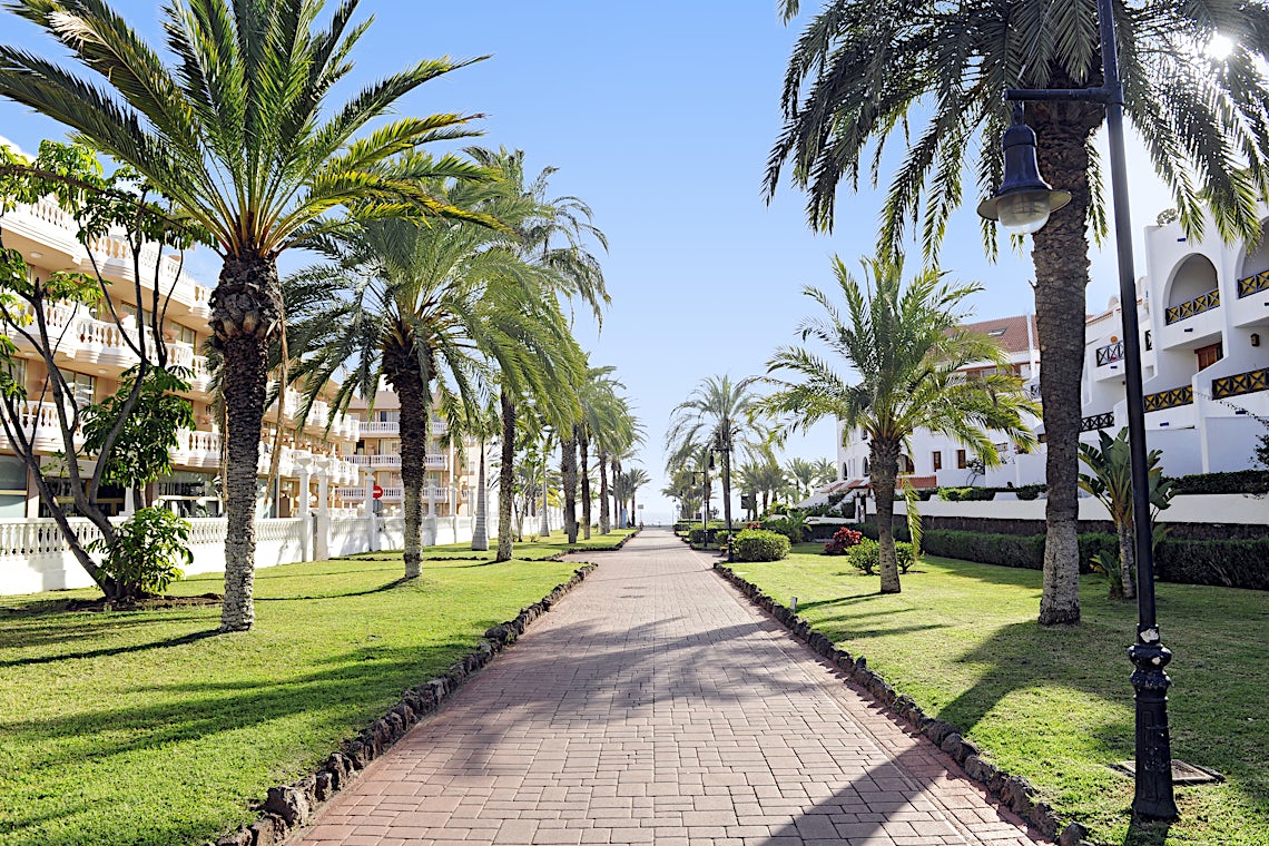 Playa de las Americas, Tenerife, Spania, bilde 7 av 22
