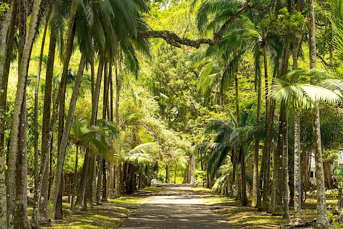 Mauritius, bilde 9 av 30