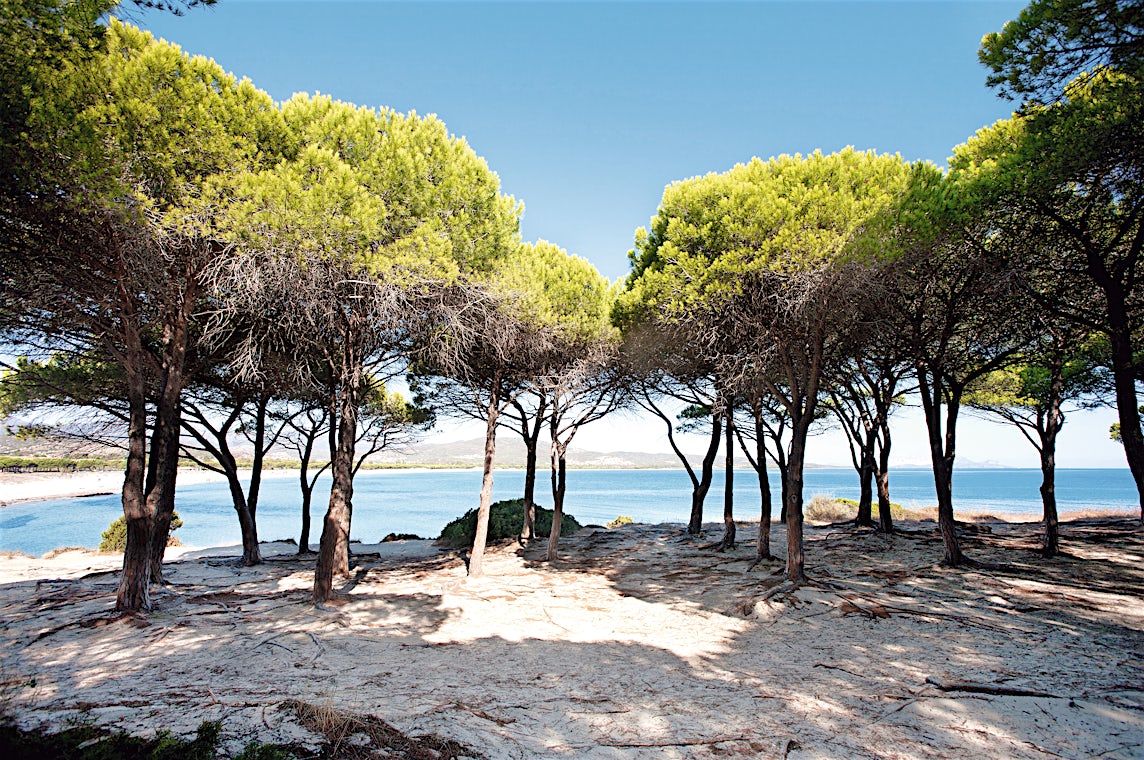 Budoni, Sardinia, Italia, bilde 8 av 9