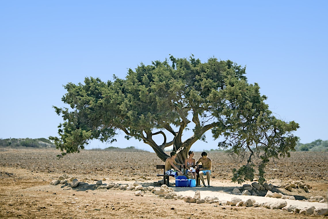 Ayia Napa, Cypern, billede 27 af 48