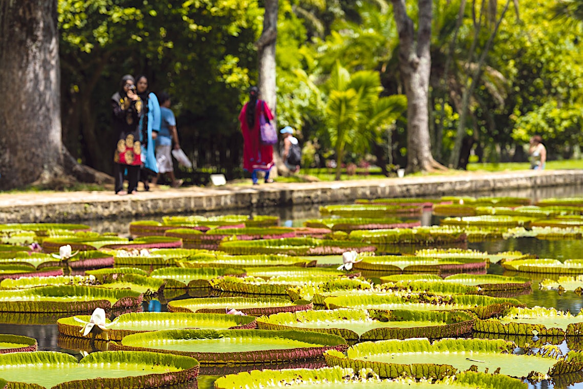 Mauritius, bilde 8 av 30