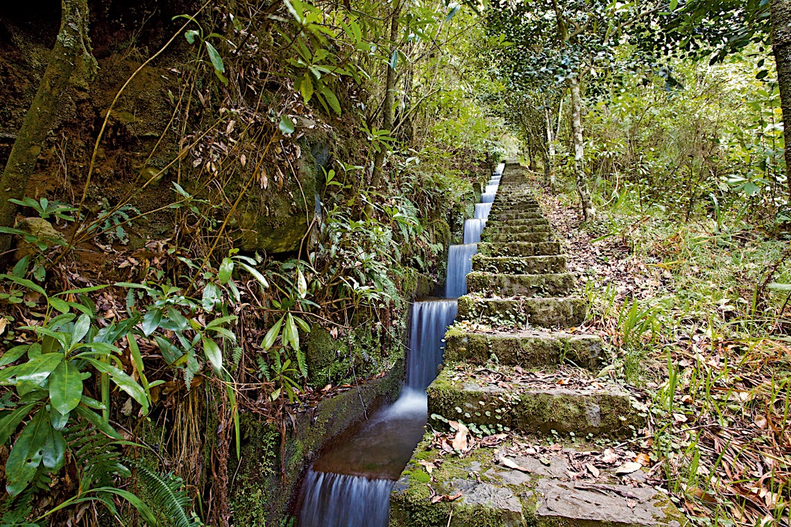 Madeira, Portugal, bilde 6 av 21