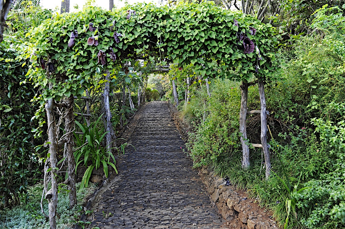 Madeira, Portugal, bilde 16 av 21