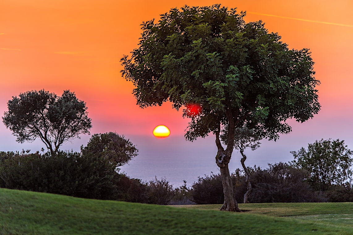 Aphrodite Hills, Kypros, bilde 13 av 13