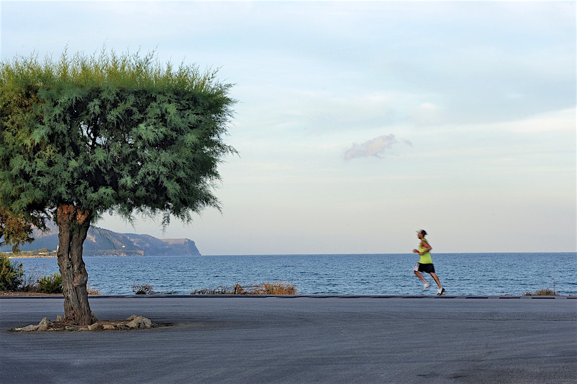 Puerto de Pollensa, Mallorca, Spania, bilde 20 av 24