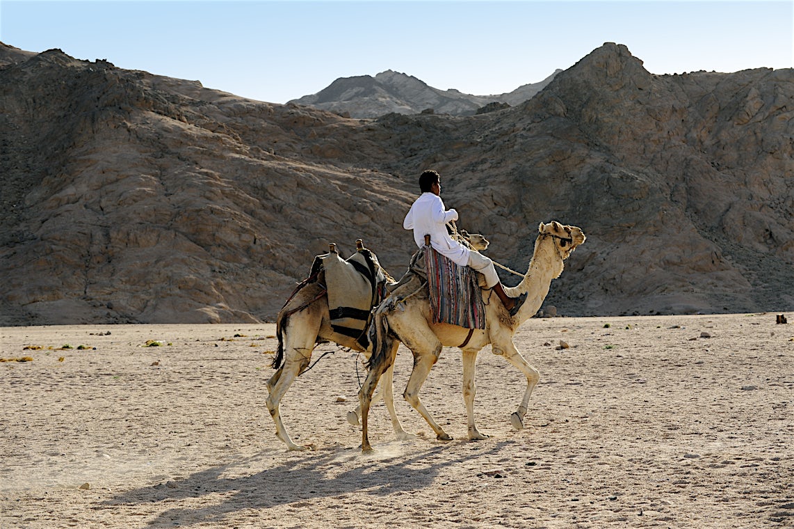 Egypten, billede 7 af 11
