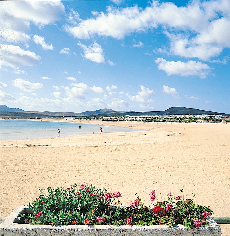 Costa Caleta, Fuerteventura, Spania, bilde 5 av 14