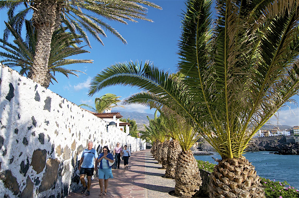 Alcala, Teneriffa, Espanja, kuva 8/ 11