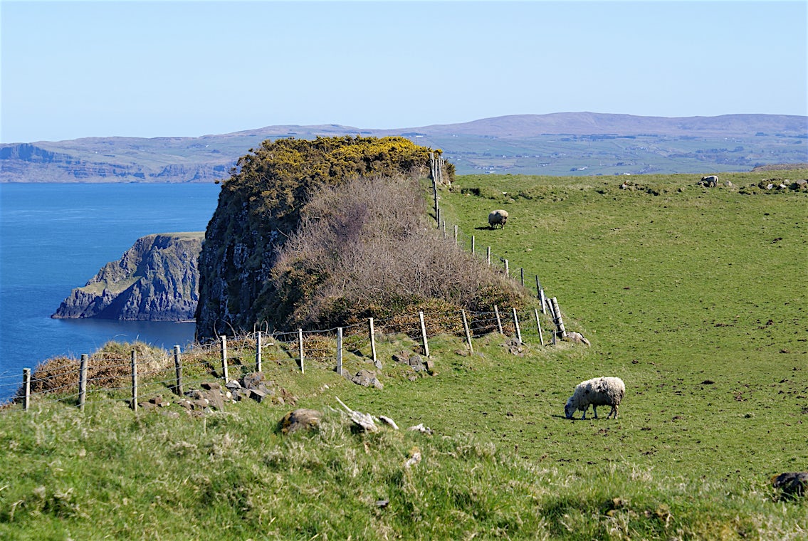 Storbritannia, bilde 4 av 17