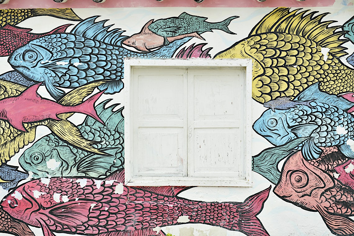 Isla de Holbox, Mexico, bilde 4 av 28