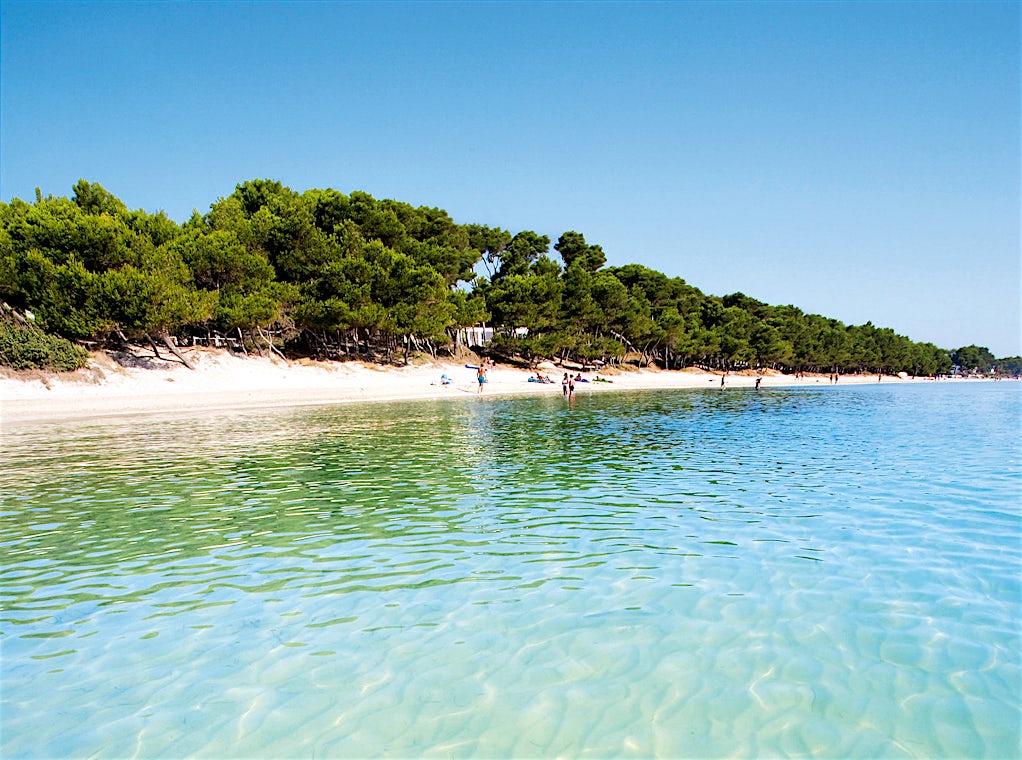 Alcudia, Mallorca, Spania, bilde 3 av 24