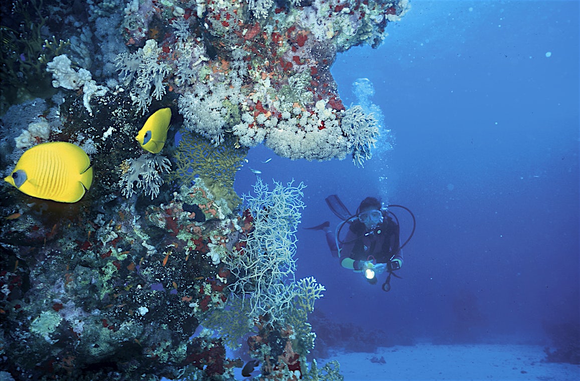 Soma Bay, Hurghada-kusten, Egypten, bild 6 av 14