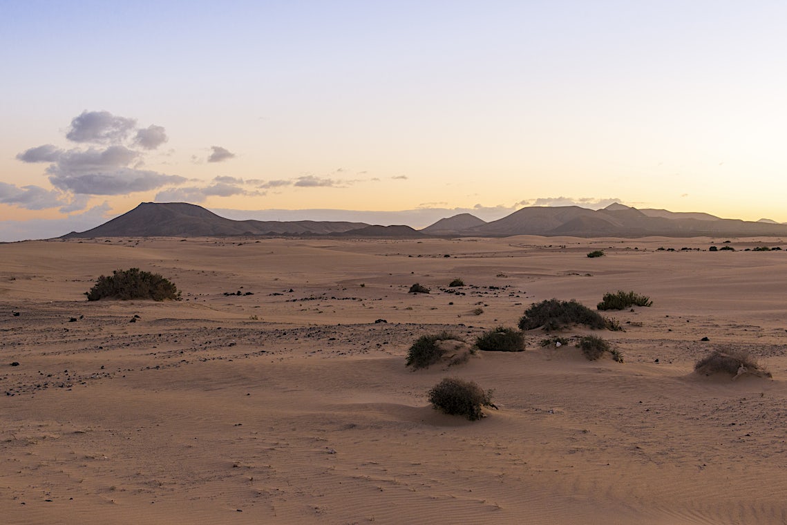 Corralejo, Fuerteventura, Spania, bilde 24 av 24