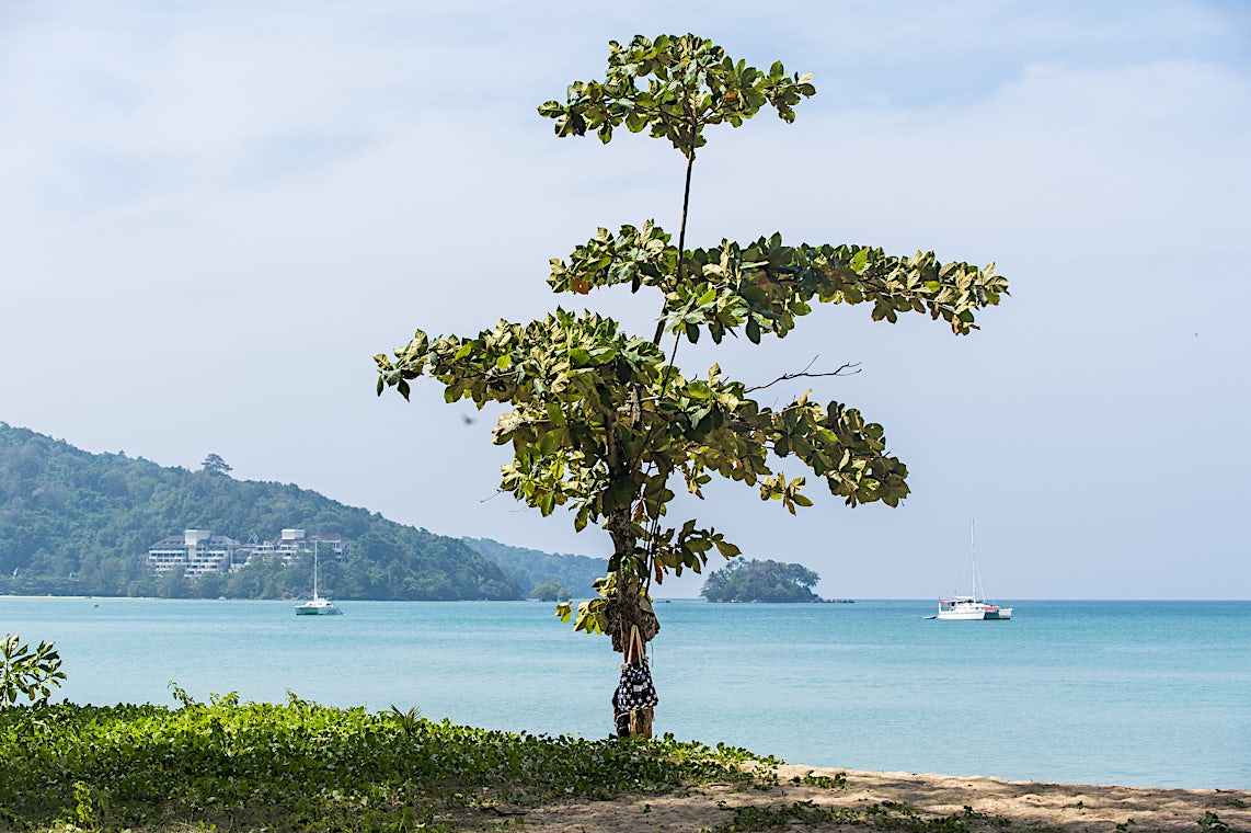 Nai Yang Beach, Phuket, Thailand, bilde 9 av 17