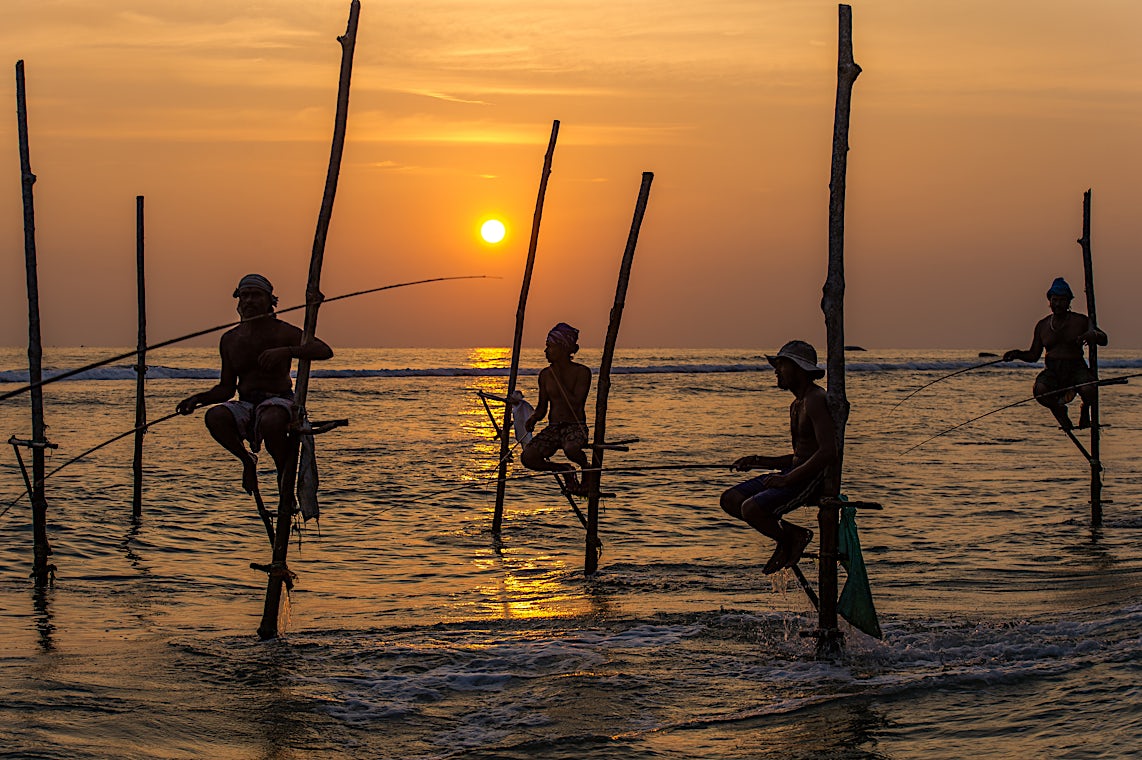 Sri Lanka, bilde 24 av 24