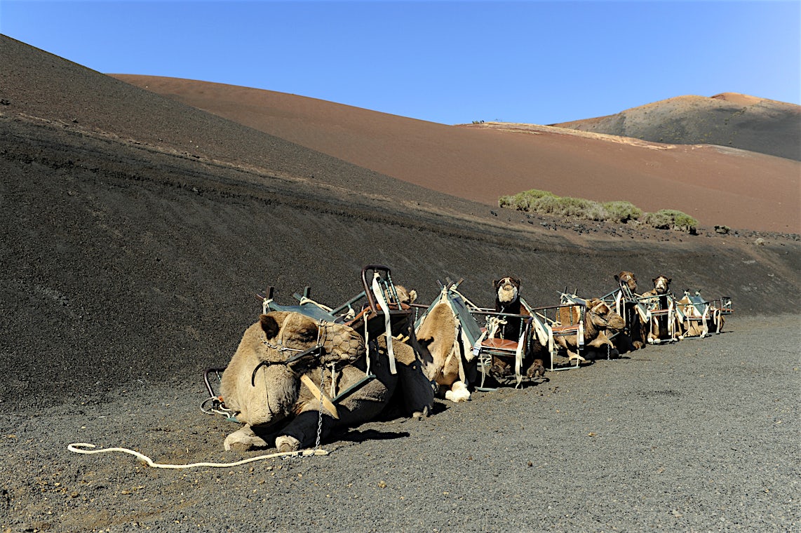 Lanzarote, Spania, bilde 26 av 32