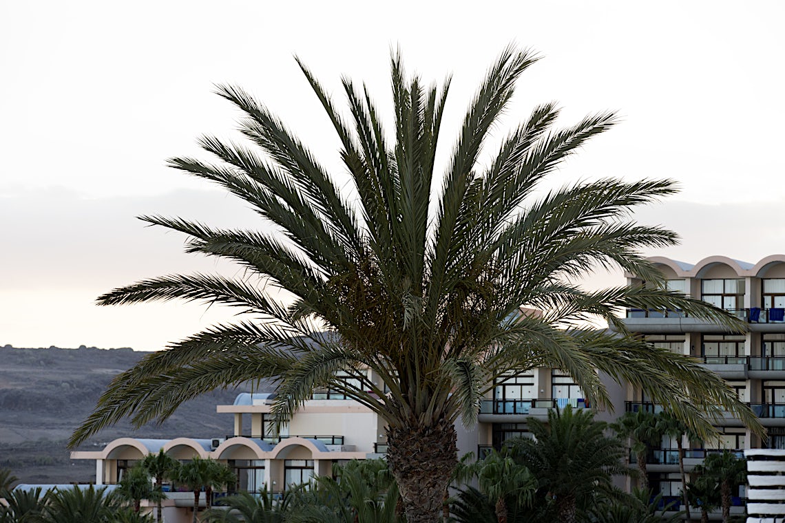 Bahía Feliz, Gran Canaria, Spania, bilde 31 av 32