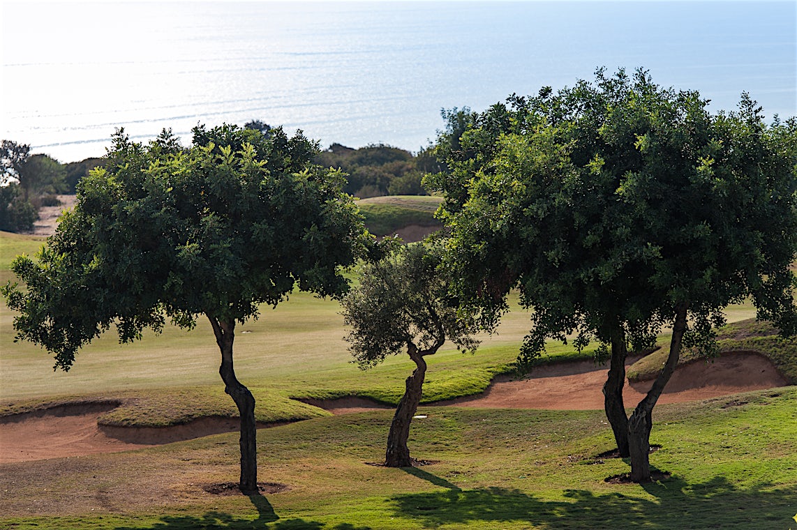 Aphrodite Hills, Kypros, bilde 7 av 13
