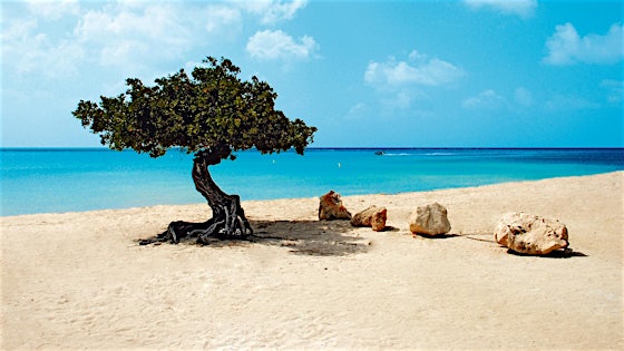 Aruba