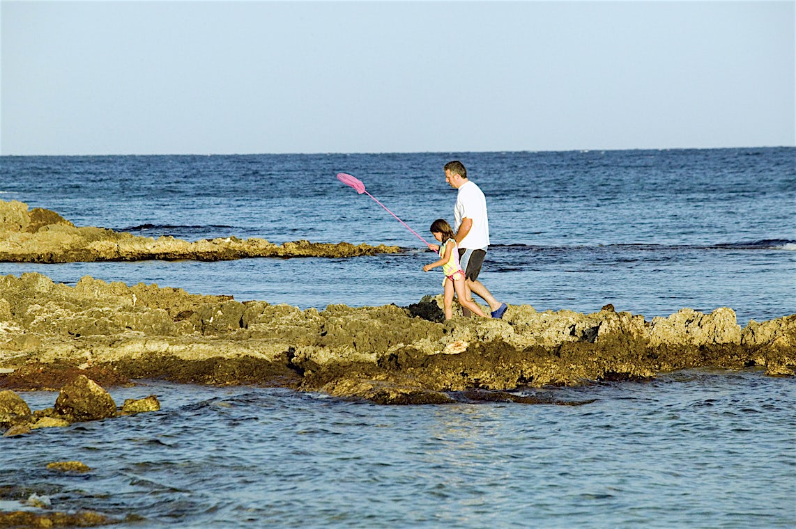 Sa Coma, Mallorca, Spanien, billede 7 af 15