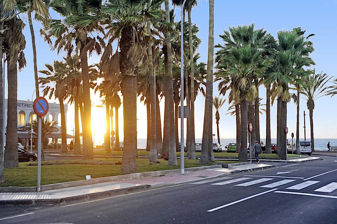 Playa de las Americas, Tenerife, Spania, bilde 19 av 22