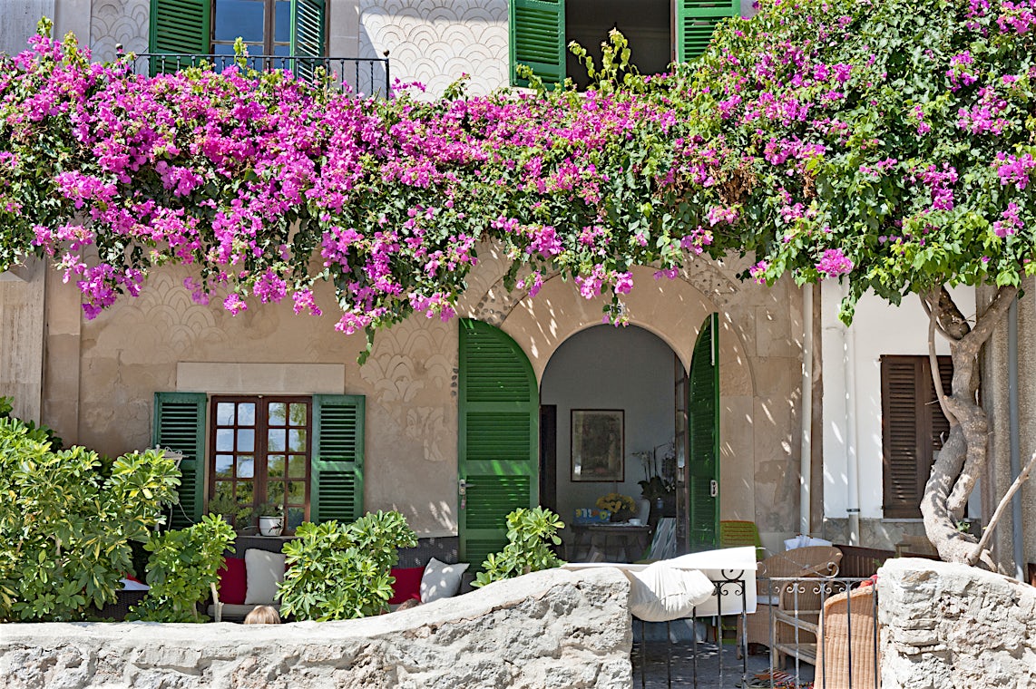 Puerto de Pollensa, Mallorca, Spania, bilde 9 av 24