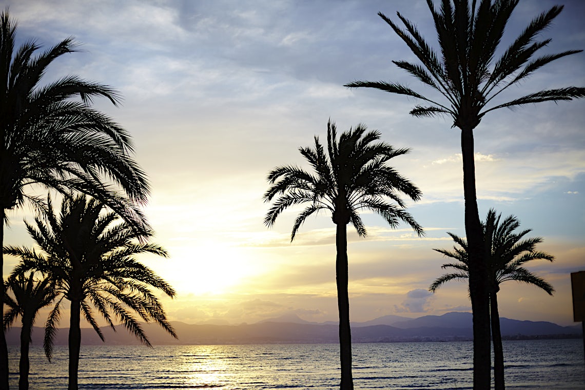 Mallorca, Spanien, billede 25 af 29