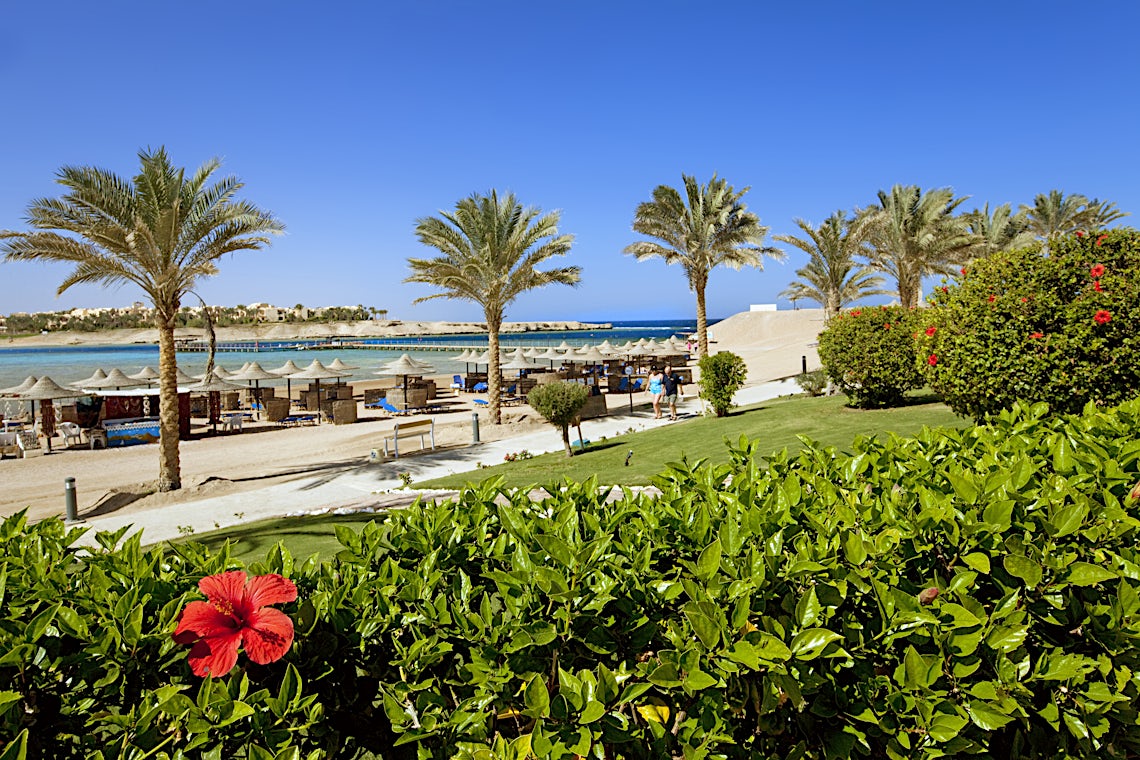 Marsa Alam-kusten, Egypten, bild 6 av 32
