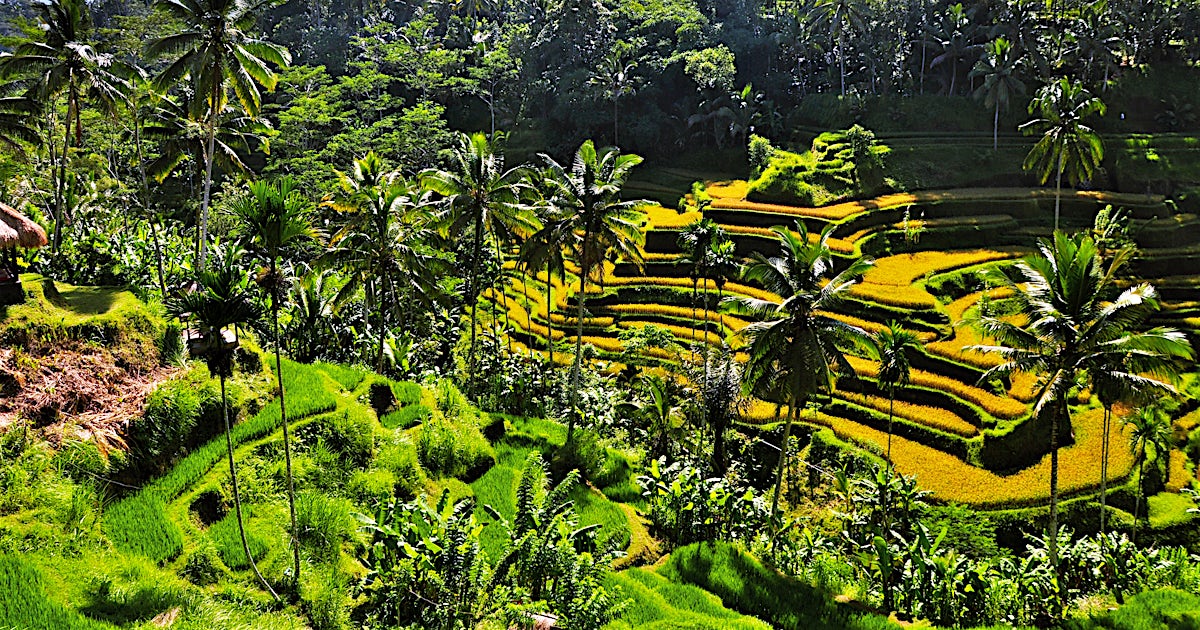 i_0256857WebOriginalCompressed