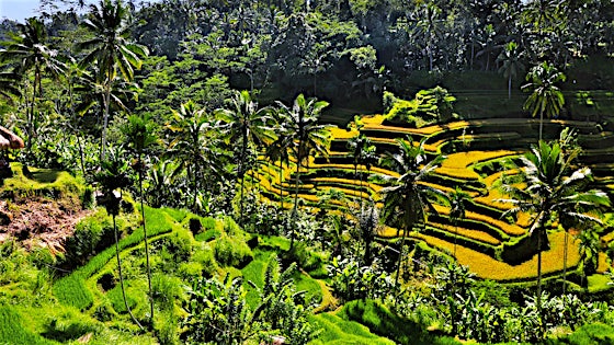 Indonesien