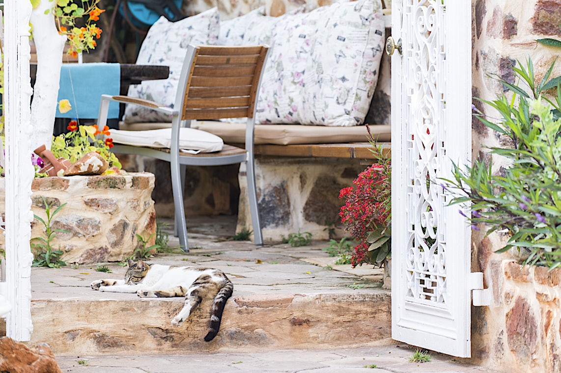 Alanya, Antalyakysten, Tyrkia, bilde 20 av 33